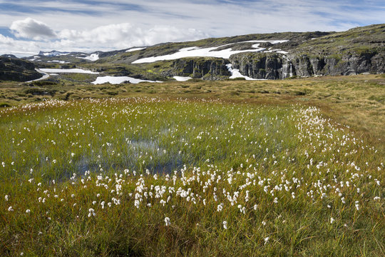 meadows and ice on Bjorgavegen route in Norway