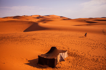 Sahara
