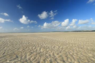 Fototapeta na wymiar beach of the Touquet, côte d'Opale, pas de Calais , Hauts de France , France 