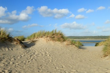 dunes of the Touquet côte d 'Opale , pas de Calais, hauts de France , France 