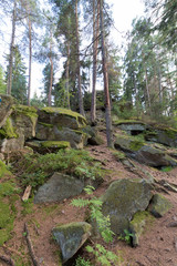 Big stones in the green forest