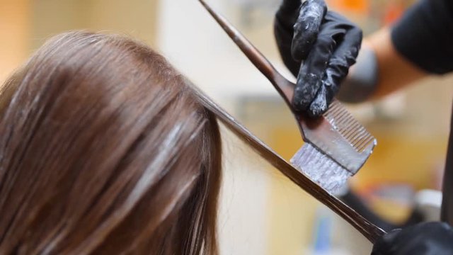 Hairdresser does hair coloring in beauty studio, woman changes her look, professional coloring and hair care, beauty business