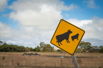 asutralian road sign warning cattle cows and sheep crossing in r