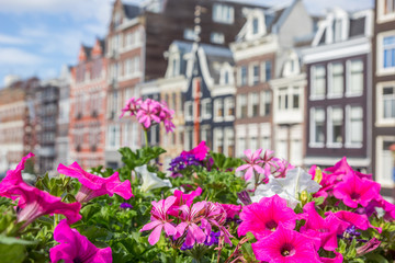 Flowers in front of colorful houses in Amsterdam