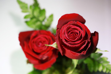 Obraz premium Bouquet of red roses on a white background. Top view