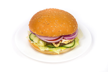 Hamburger close up