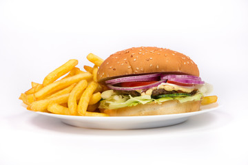 Hamburger close up
