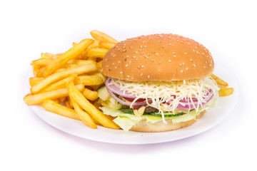 Hamburger close up