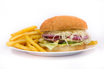 Hamburger close up