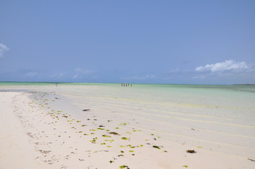 spiaggia di watamu