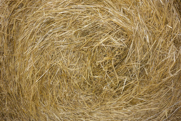 freshly baled straw