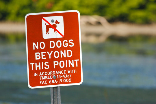 Red sign No dogs beyond this point. Beach near sea water, Florida, USA. Warning sign in the beach. Birdwatching in Florida. Dog in wild nature.