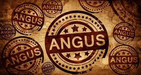 Angus, vintage stamp on paper background