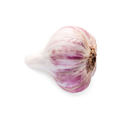 Head of garlic closeup isolated on white background