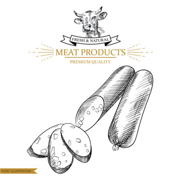 Sketch stick salami on white background. Hand drawn meat elements Retro style poster with cow banner vector illustration. Use for butcher shop, livestock farm.