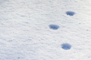 Schritte im Schnee