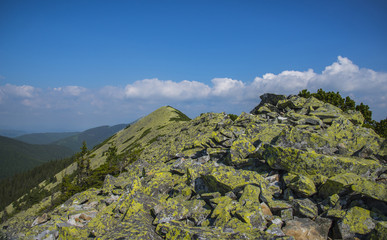 Fototapeta na wymiar Mountain in Gorgany