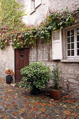 old house entrance with plants