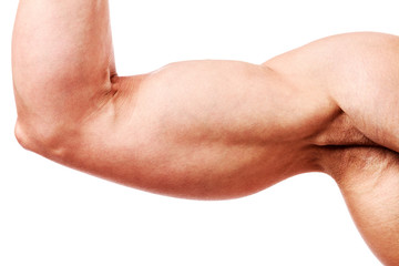 Fototapeta na wymiar Big biceps of a fitness lady