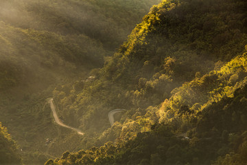 Fototapeta na wymiar Forested mountain slope with the evergreen conifers shrouded in mist and ray of light,Landscape at Doi Ang Khang, Chiang Mai ,Thailand.