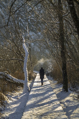 Girl on small bridge in snowy winter forest 