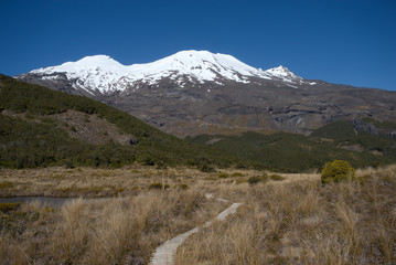 Fototapeta premium View to the snow covered volcano Ruapehu