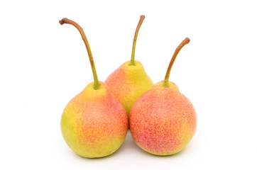 Pears