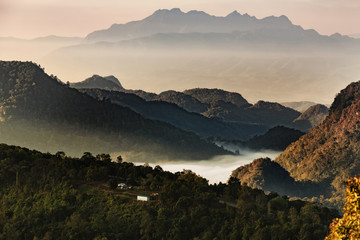 Misty morning with sunrise over forest mountain,Beautiful landscape at Doi Ang Khang,Chiang Mai,Thailand.