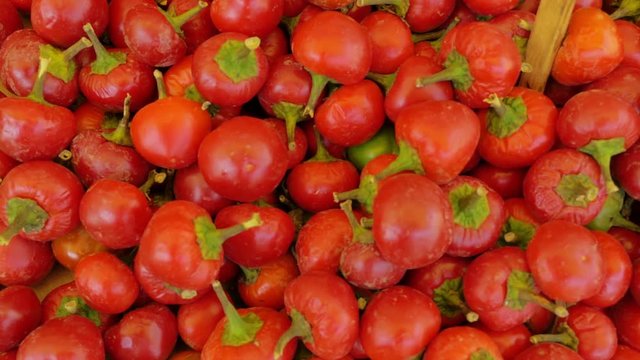 Fresh tomatoes at the vegetable market