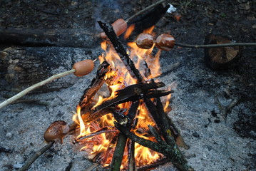 by the fire
