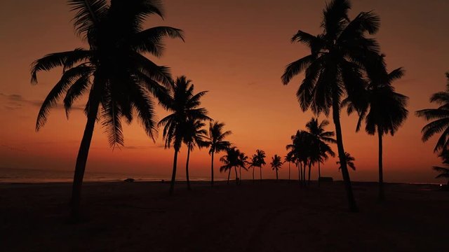 Zachód słońca na plaży z palmami
