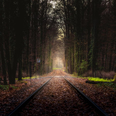 Fototapeta premium Stadtwald Rails