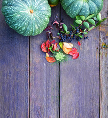 Green pumpkin on old wooden lilac doskah.Hellouvin. Vintage. Fresh pumpkin