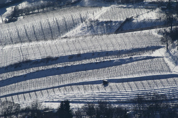 View from Kahlenberg to Vienna in winter, snow, Austria, Vienna,