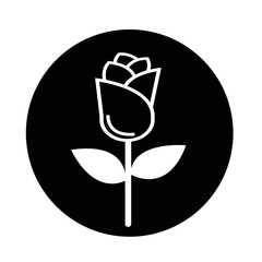 rose icon