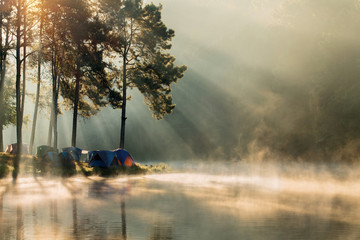 Fototapeta premium Beautiful landscape morning sunrise over stream and pine tree camping in lake with ray of light.