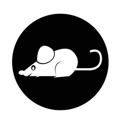 mouse rat icon