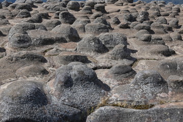 Soft feather against hard stones