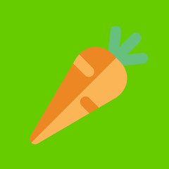 carrot icon flat disign