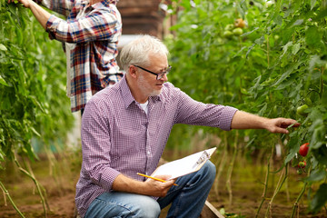 senior man with clipboard at greenhouse on farm
