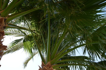 Obraz premium Sharm El Sheikh