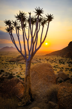 Group of bald granite peaks - Spitzkoppe (Damaraland, Namibia)