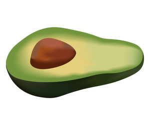 avocado draw vector 