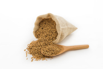 paddy rice in small burlap sack