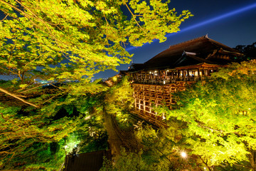 2016 Arpil 10, kiyomizu temple light up at kyoto, Japan