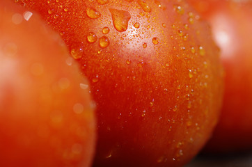 Pomidory makro