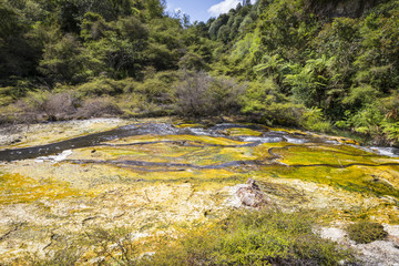 volcanic activities at waimangu