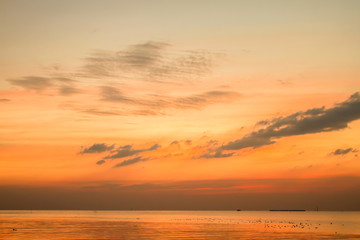 nature background in sunset time with Seagulls on the sea