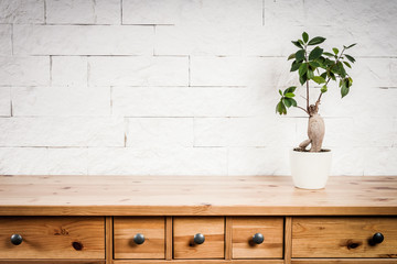 old wooden shelf, flower and white wall