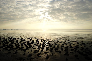 Nationalpark,Wattenmeer,Niedersachsen